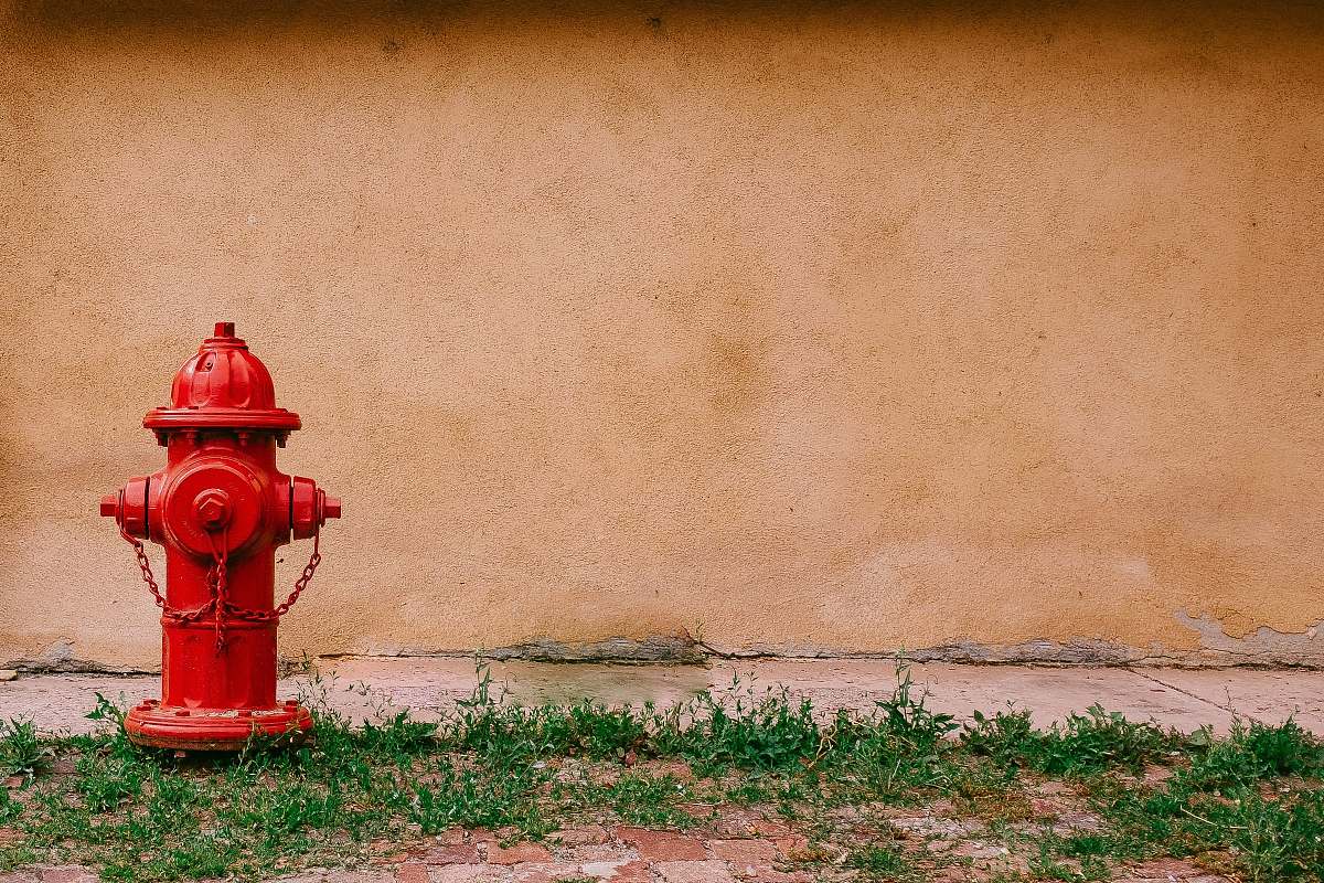 hydrant fire hydrant near beige painted wall plant